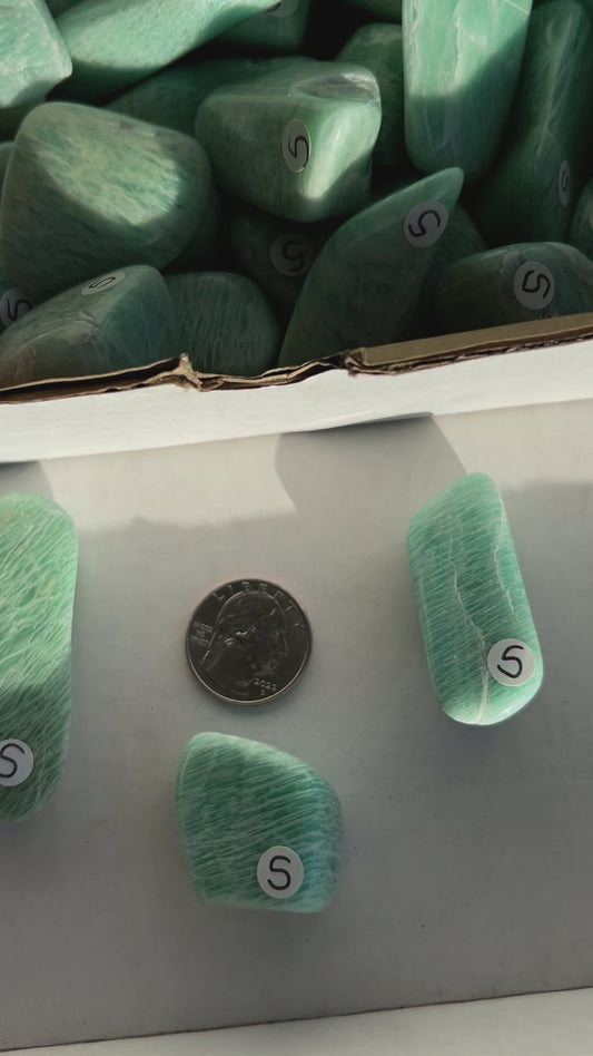 Medium Amazonite Tumbled Stone